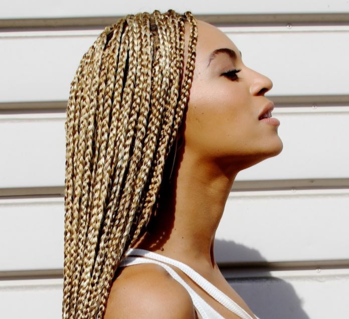 african hair braiding beyonce-micro-braids-tree-african-hairstyles