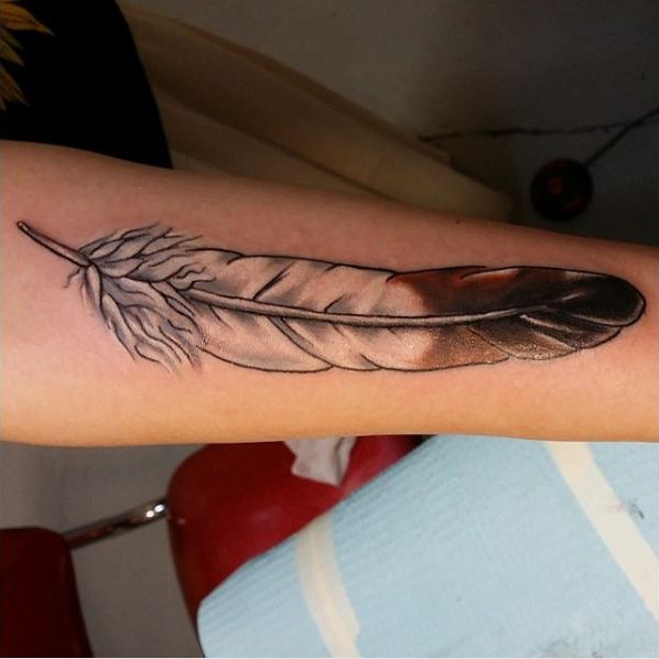 Bird Feather Tattoo Drawing Bird leaf animals branch png  PNGWing