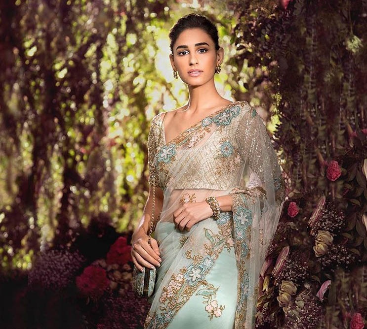 Shyamal Bhumika Top Saree Designs 2019 Embellished Net