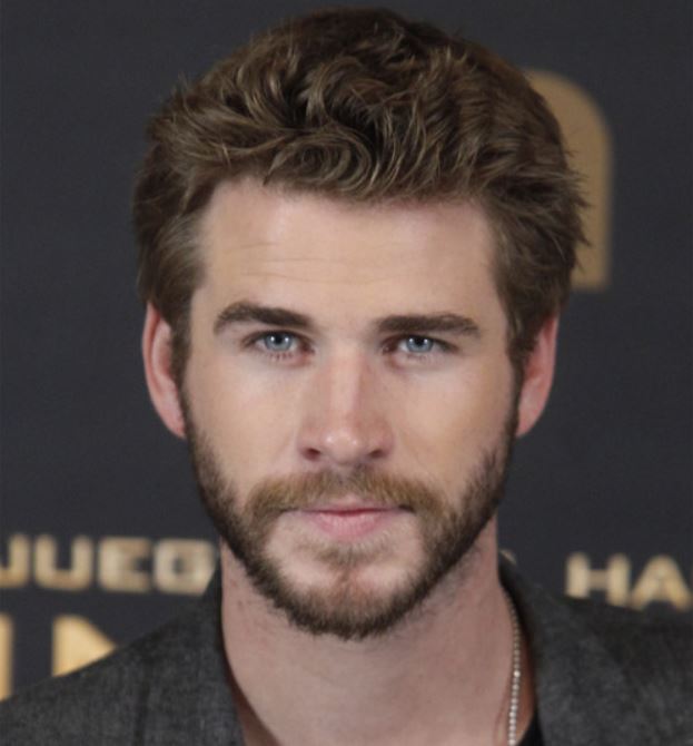 Top Male Celebrity Crushes We Have Right Now Hottest Guys   Liam Hemsworth Most Attractive Male Actors 