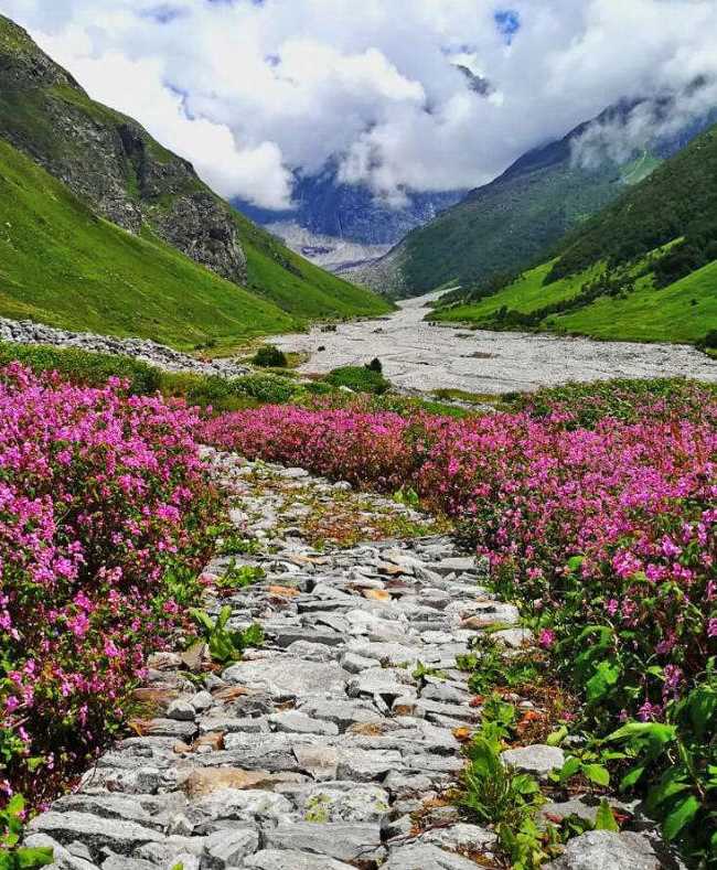 Valley Of Flowers A 4 Day Trekking Guide Shilpa Ahuja